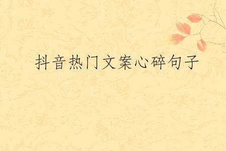 抖音热门文案心碎句子