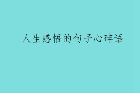 人生感悟的句子心碎语