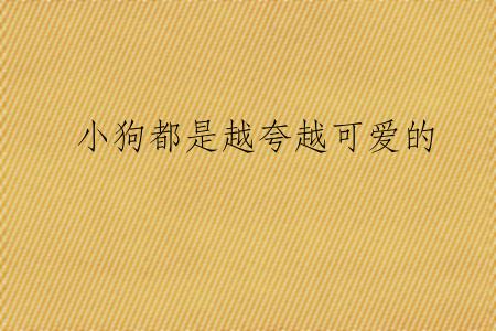 小狗都是越夸越可爱的