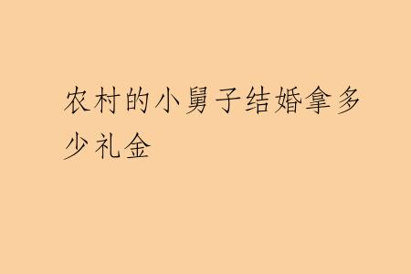 农村的小舅子结婚拿多少礼金
