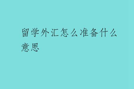 留学外汇怎么准备什么意思