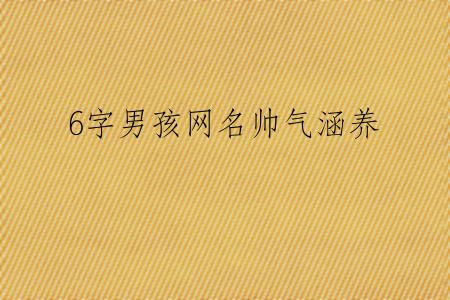 6字男孩网名帅气涵养