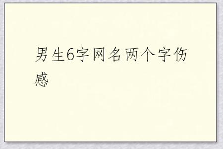 男生6字网名两个字伤感