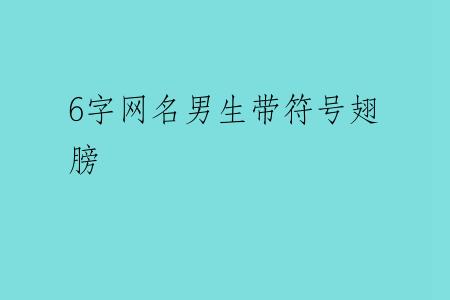 6字网名男生带符号翅膀