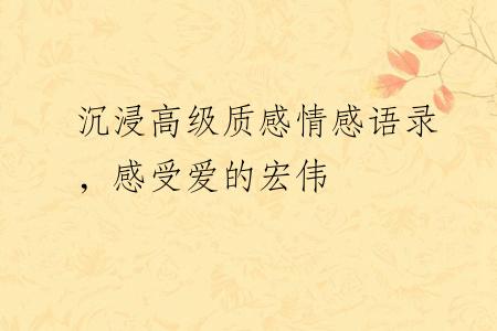 沉浸高级质感情感语录，感受爱的宏伟