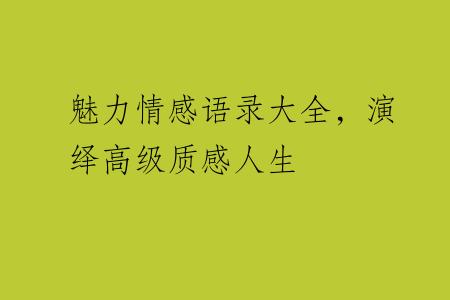 魅力情感语录大全，演绎高级质感人生