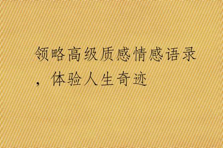 领略高级质感情感语录，体验人生奇迹