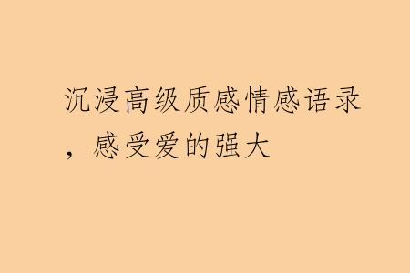 沉浸高级质感情感语录，感受爱的强大