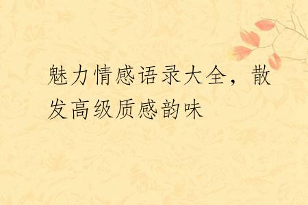 魅力情感语录大全，散发高级质感韵味