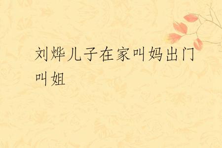刘烨儿子在家叫妈出门叫姐