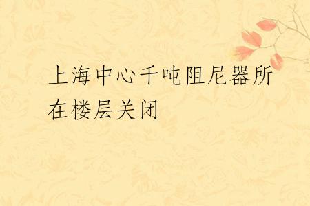 上海中心千吨阻尼器所在楼层关闭