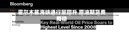 霍尔木兹海峡通行量回升 原油期货费用持稳