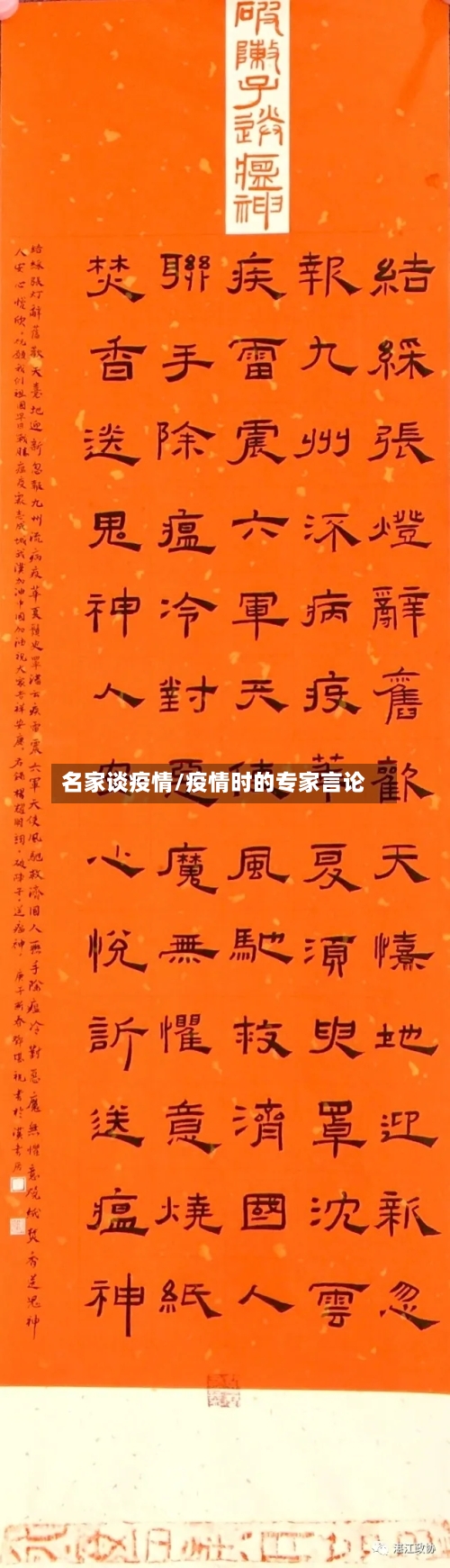 名家谈疫情/疫情时的专家言论