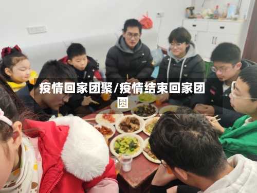 疫情回家团聚/疫情结束回家团圆