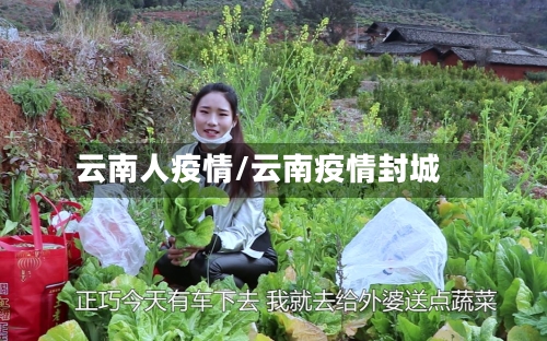 云南人疫情/云南疫情封城