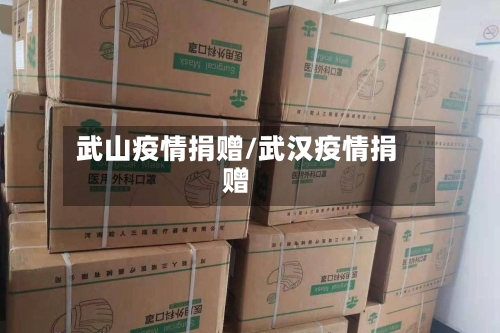 武山疫情捐赠/武汉疫情捐赠