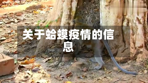 关于蛤蟆疫情的信息