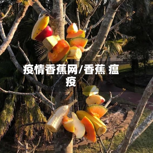 疫情香蕉网/香蕉 瘟疫