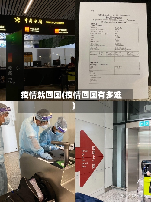 疫情就回国(疫情回国有多难)