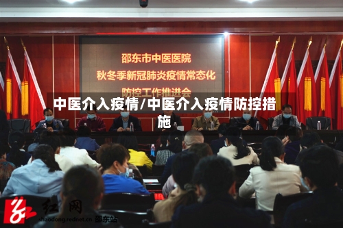 中医介入疫情/中医介入疫情防控措施
