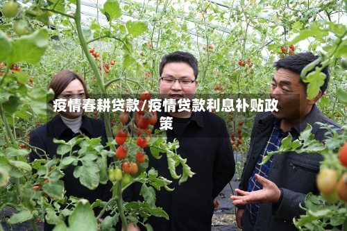 疫情春耕贷款/疫情贷款利息补贴政策