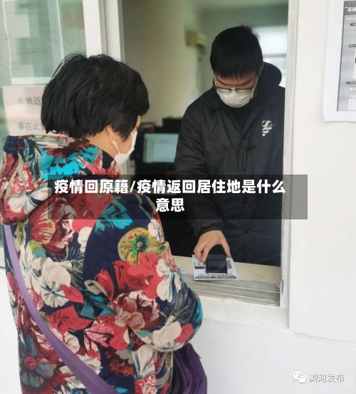 疫情回原籍/疫情返回居住地是什么意思
