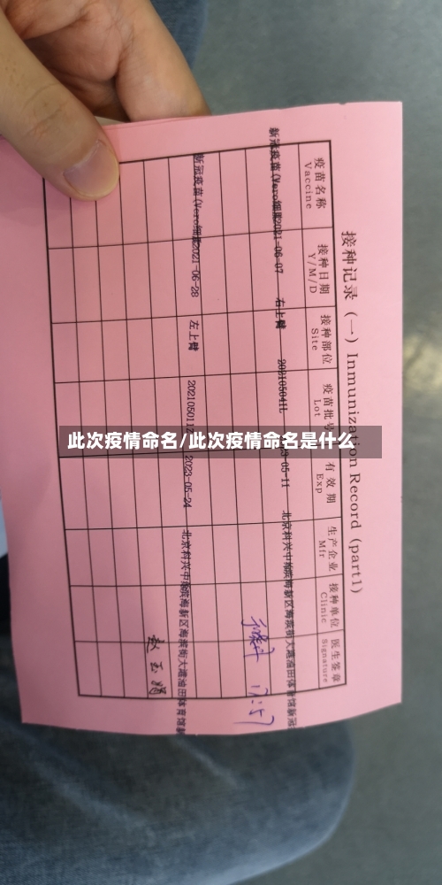 此次疫情命名/此次疫情命名是什么