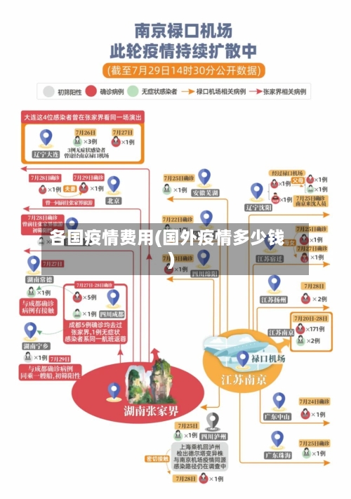 各国疫情费用(国外疫情多少钱)