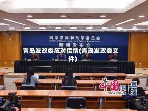 青岛发改委应对疫情(青岛发改委文件)