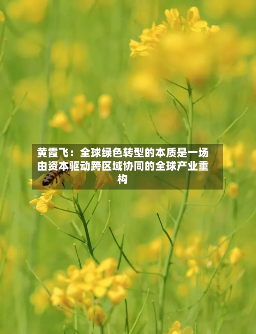 黄霞飞：全球绿色转型的本质是一场由资本驱动跨区域协同的全球产业重构