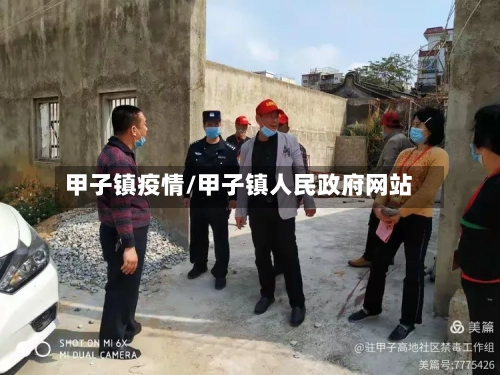 甲子镇疫情/甲子镇人民政府网站