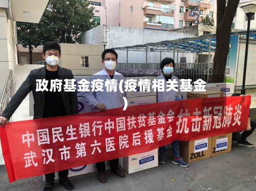 政府基金疫情(疫情相关基金)