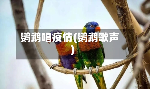 鹦鹉唱疫情(鹦鹉歌声)