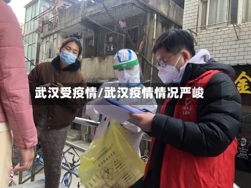 武汉受疫情/武汉疫情情况严峻