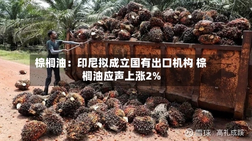 棕榈油：印尼拟成立国有出口机构 棕榈油应声上涨2%