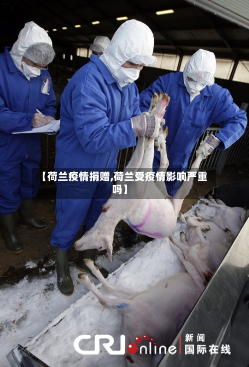 【荷兰疫情捐赠,荷兰受疫情影响严重吗】