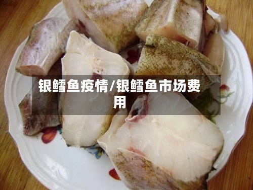 银鳕鱼疫情/银鳕鱼市场费用