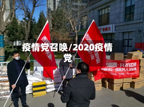 疫情党召唤/2020疫情党