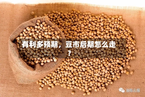 有利多预期，豆市后期怎么走？