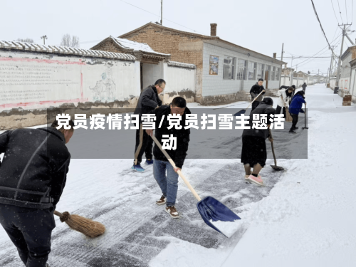 党员疫情扫雪/党员扫雪主题活动