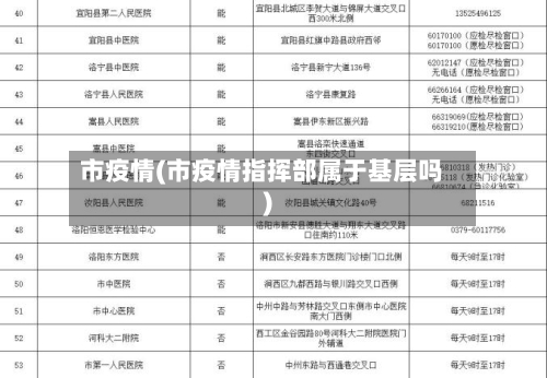 市疫情(市疫情指挥部属于基层吗)