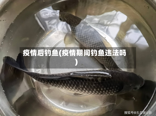 疫情后钓鱼(疫情期间钓鱼违法吗)