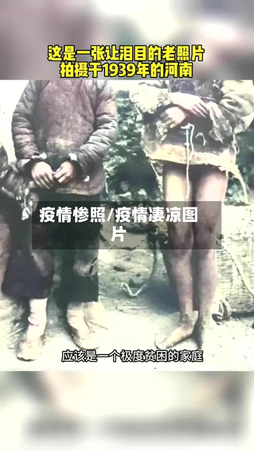 疫情惨照/疫情凄凉图片-第1张图片