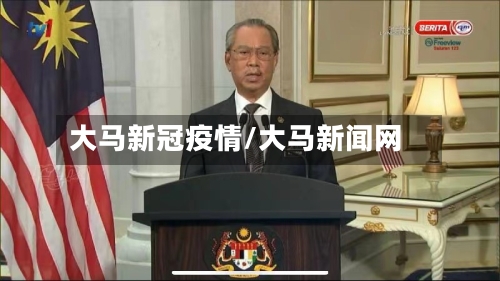 大马新冠疫情/大马新闻网