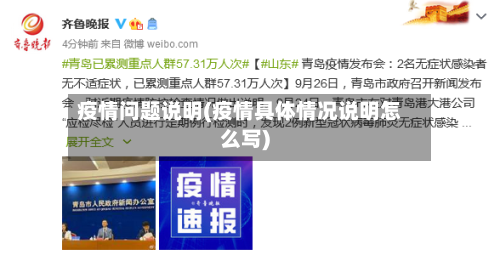 疫情问题说明(疫情具体情况说明怎么写)