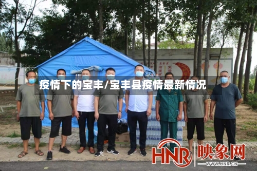 疫情下的宝丰/宝丰县疫情最新情况