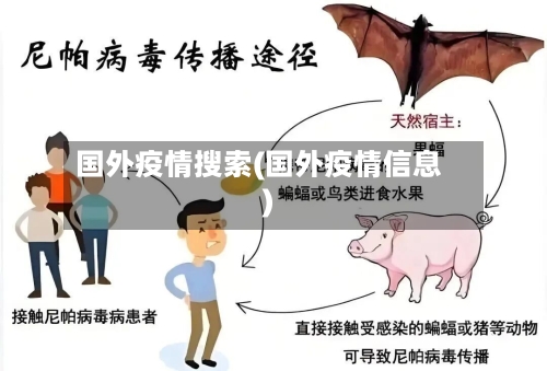 国外疫情搜索(国外疫情信息)