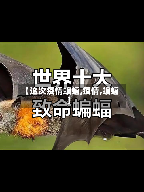 【这次疫情蝙蝠,疫情,蝙蝠】