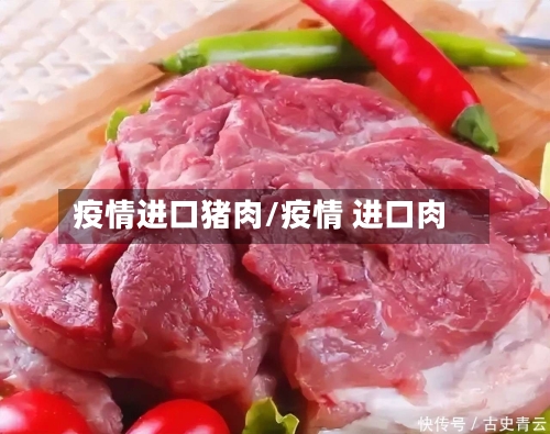 疫情进口猪肉/疫情 进口肉
