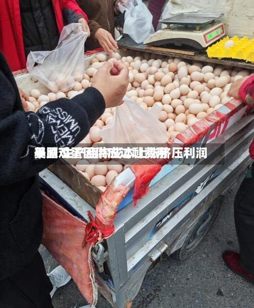 美国鸡蛋因供应过剩费用暴跌 生产商称成本上涨挤压利润